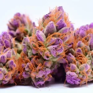The Purp Cannabis Strain