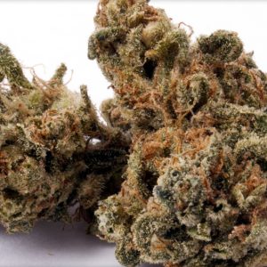 Abusive OG Kush