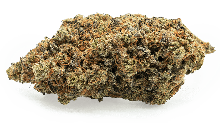 Black Domina Kush