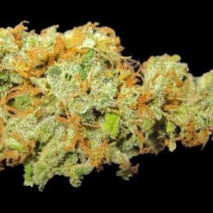 Hawaiian Sativa Kush