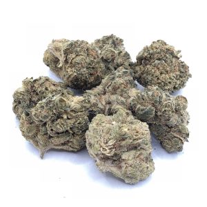 Pinetrak Marijuana Strain
