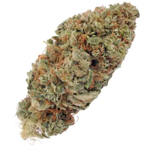 Confidential Cheese Marijuana Strain