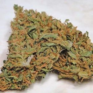 Jack the Ripper Cannabis Strain