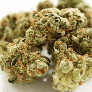 King's Bread Cannabis Strain