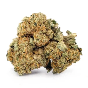 Kush Blue Berry Strain