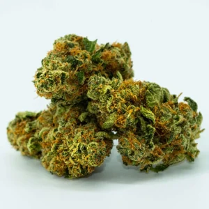 Loud Weed Strain