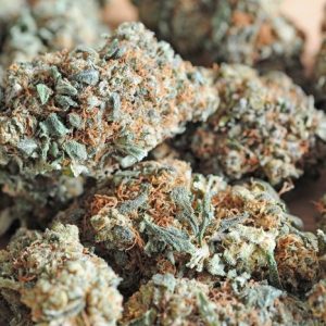 Toxic Weed Strain