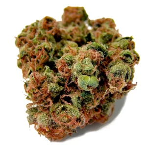 Panama Red Weed Strain