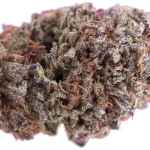 Afghan Purple Kush