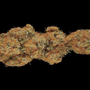 Shiva Skunk Strain