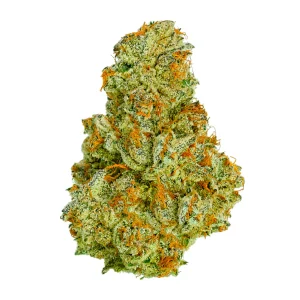 Super Sour Diesel Cannabis Strain