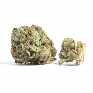 Malawi Marijuana Strain
