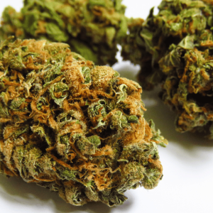 Sweet Haze Kush Strain