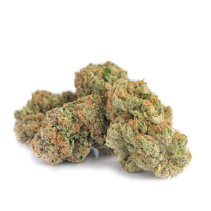 Cherry Bomb Cannabis Strain